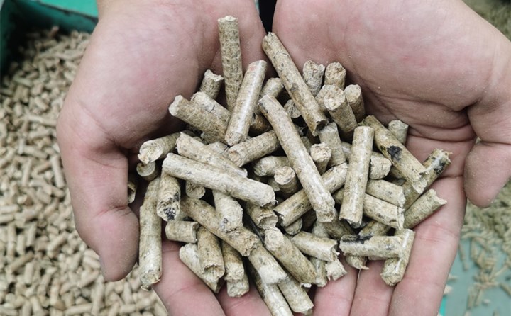 秸稈顆粒機(jī)加工的顆粒燃料.jpg 秸稈顆粒機(jī)加工的顆粒燃料.jpg